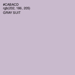 #CABACD - Gray Suit Color Image